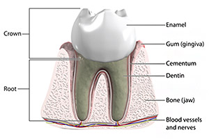 Worn-Down Teeth